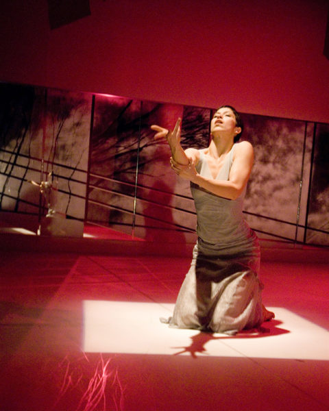 STRUCK (2008) Choreographer: Brent Lott Dancer: Natasha Torres-Garner Photographer: Ryan Michael Fennessy